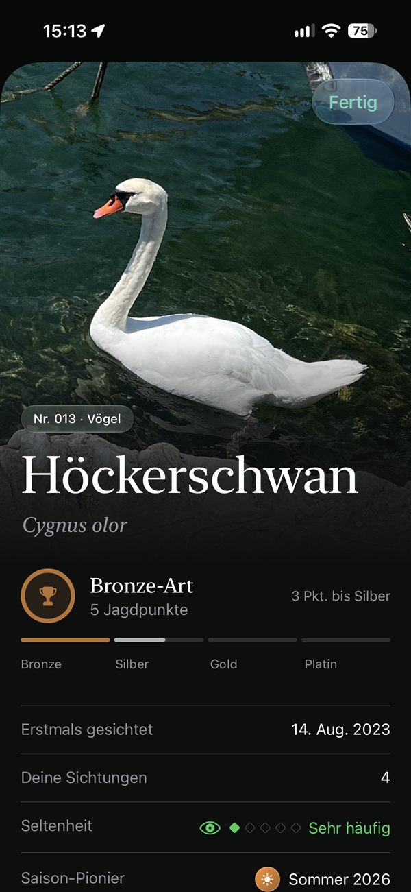 Spottir species page: mute swan with award, rarity and number of your own sightings