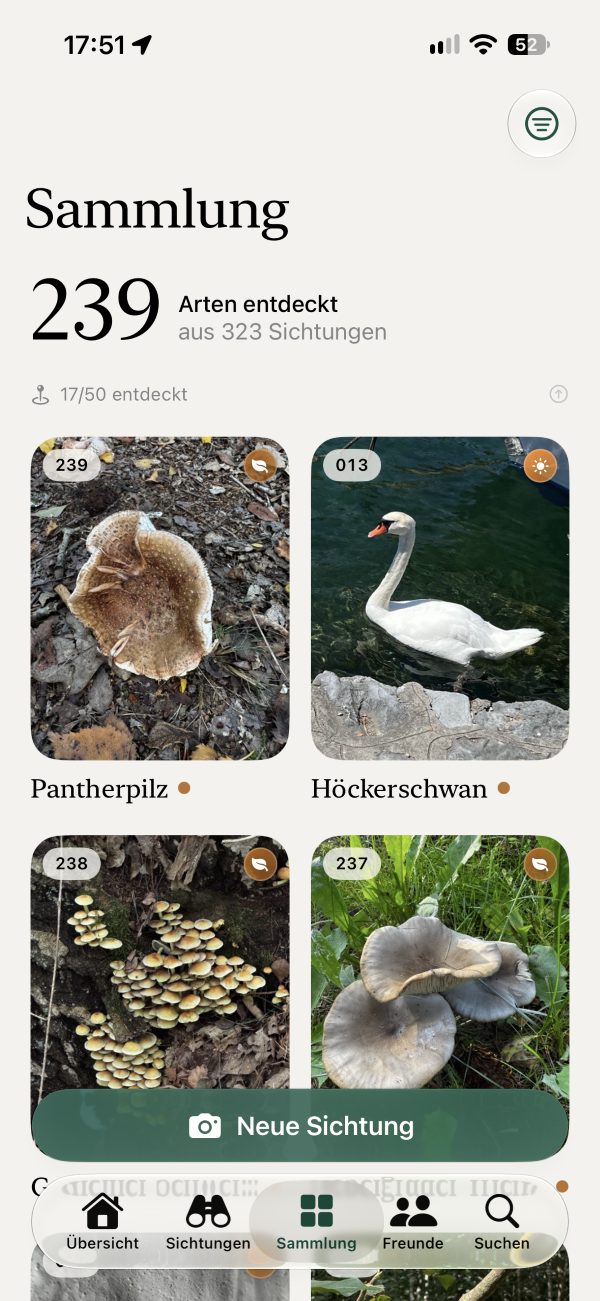 Spottir collection: 239 discovered species with photos, including panther cap and mute swan