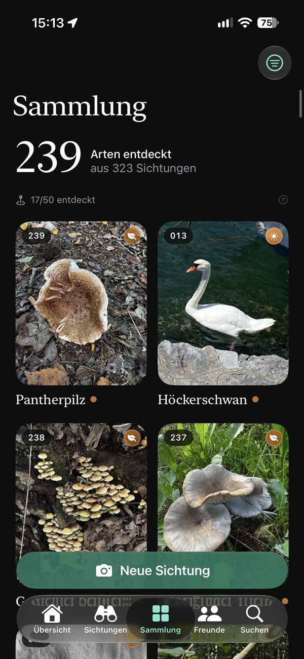 Spottir collection: 239 discovered species with photos, including panther cap and mute swan