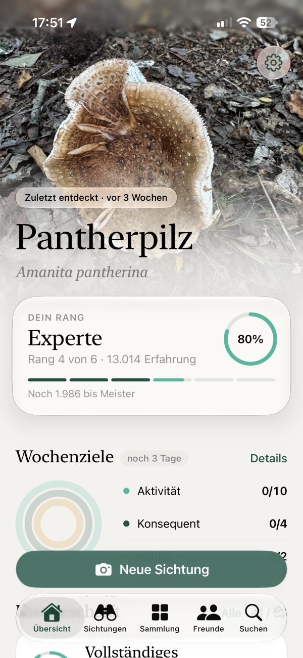 Spottir overview: recently discovered panther cap, your rank and weekly goals