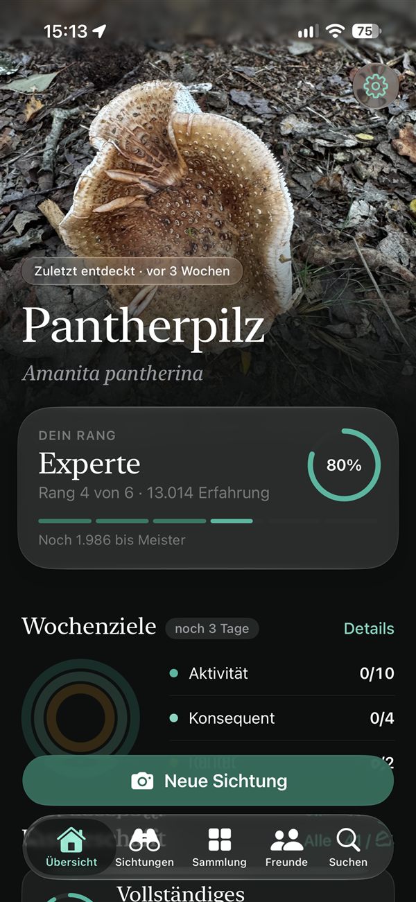 Spottir overview: recently discovered panther cap, your rank and weekly goals