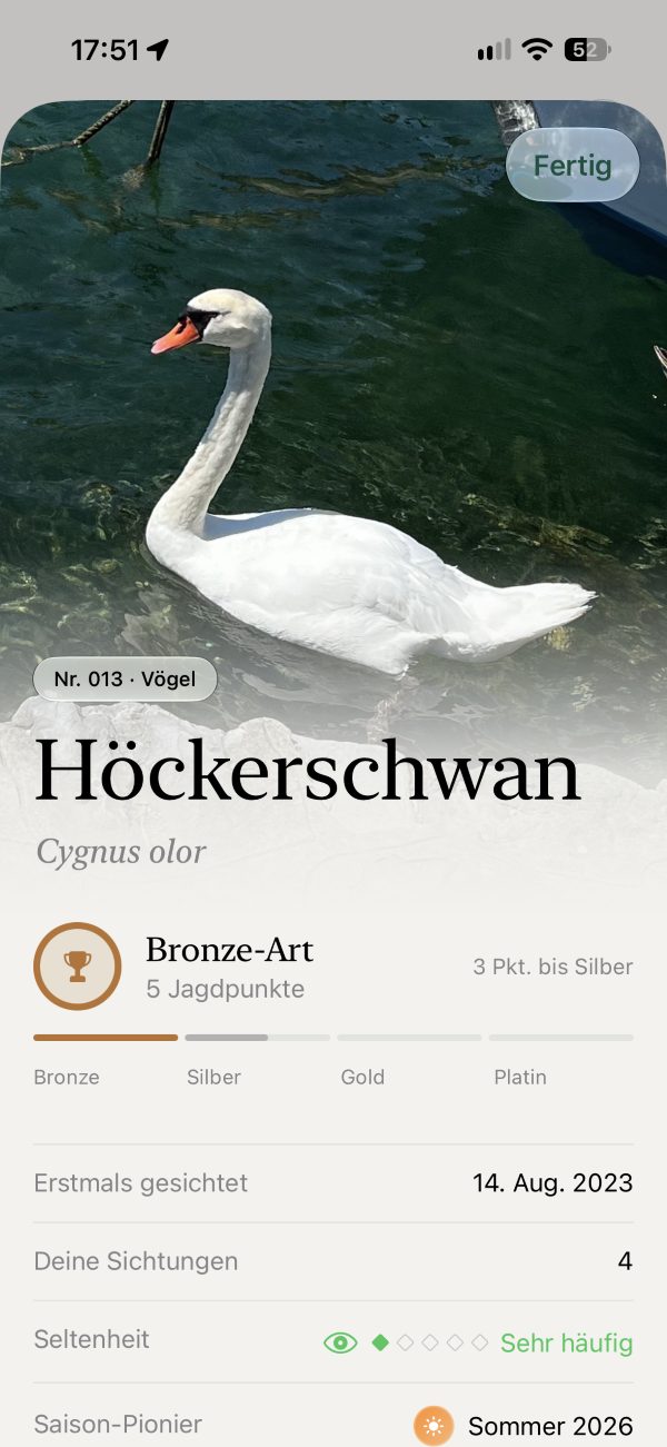 Spottir Artenseite: Höckerschwan mit Auszeichnung, Seltenheit und Anzahl eigener Sichtungen